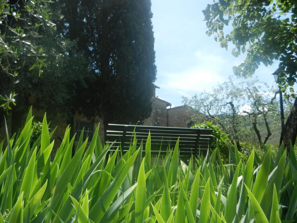 Podere San Giusto * Figline Valdarno
