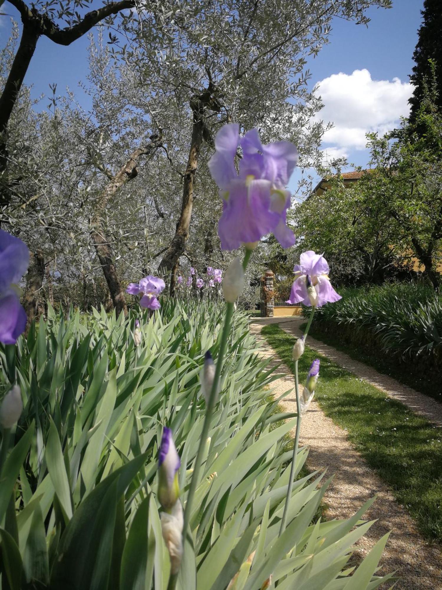 Séjour à la ferme Podere San Giusto Figline Valdarno